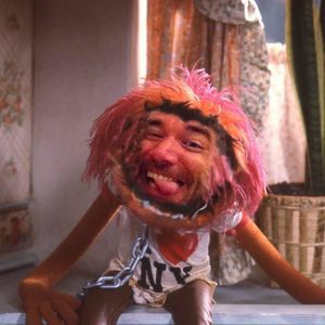 Meet your Posher, Jonathan